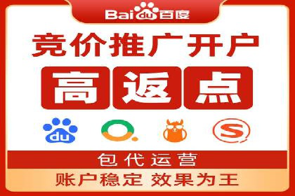 SEM推广实战：案例分析与优化